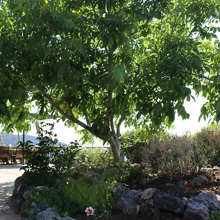 Sahin Tepesi Terrace Landhaus *